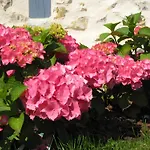 Manoir Du Petit Saint-pierre Отель типа 