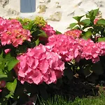 Manoir Du Petit Saint-pierre 4*