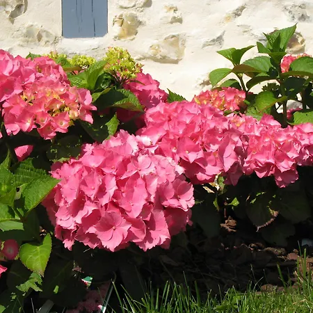 Manoir Du Petit Saint-pierre B&B 4*